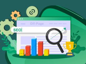 Everything a Beginner Needs to Know in 2022