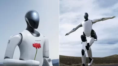 humanoid prototype
