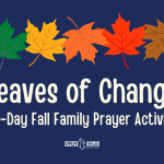 251 best catchy traffic ticketing law slogans