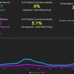 150 catchy fear of snakes statistics