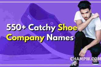 150 catchy shoe store names
