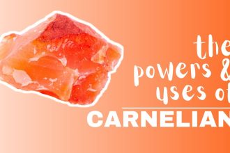 the power of carnelian