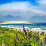 100 fantastic colorful rainbow captions for instagram